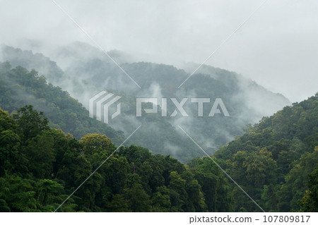 sea fog on the mountain hills 107809817