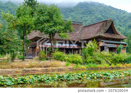 屋頂和秋葉 107810034