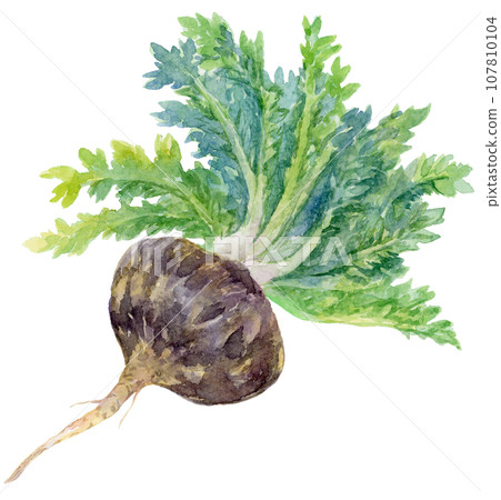 Black maca diagonal with watercolor leaves 107810104