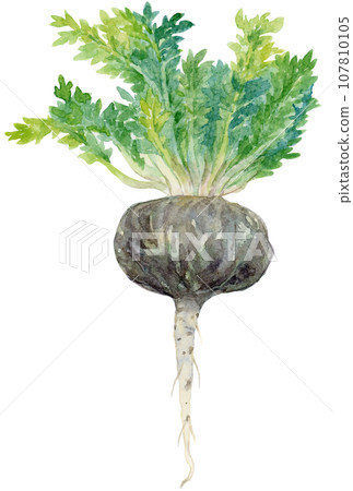 black maca with watercolor leaves black maca with watercolor leaves 107810105