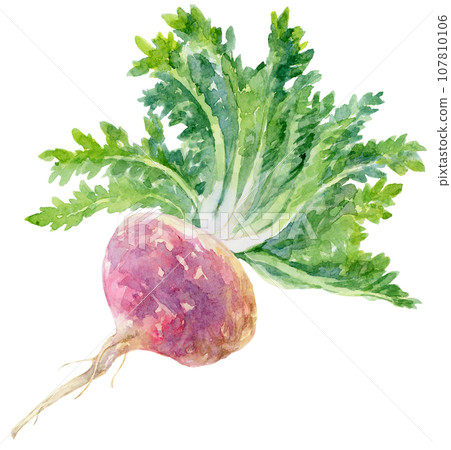 Red maca diagonal with watercolor leaves 107810106