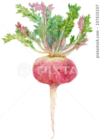 red maca with watercolor leaves 107810107