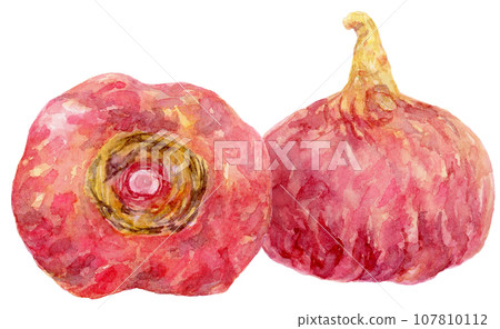 水彩兩紅瑪卡 107810112