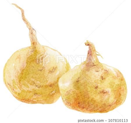 水彩兩白瑪咖 107810113