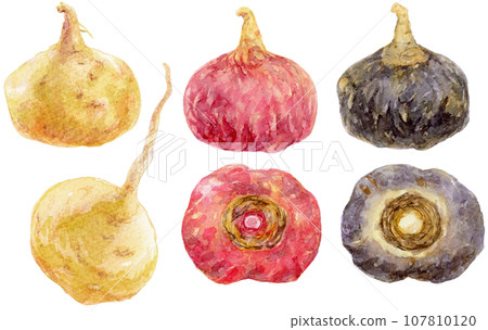 Collection of maca materials in 3 watercolor colors 107810120