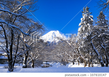 Mt. Fuji in winter, Oshino with snowy scenery, Oshino Village, Yamanashi Prefecture 107810147