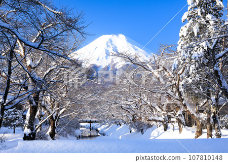 Mt. Fuji in winter, Oshino with snowy scenery, Oshino Village, Yamanashi Prefecture Mt. Fuji in winter, Oshino with snowy scenery, Oshino Village, Yamanashi Prefecture 107810148