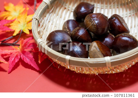Autumn taste chestnut Autumn taste chestnut 107811361