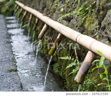 富士本宮淺間大社湧玉池泉水 107811595