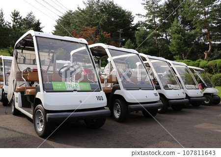 car driving golf cart 107811643