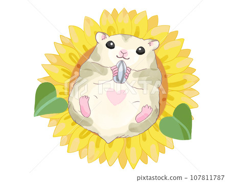 hamster and sunflower 107811787