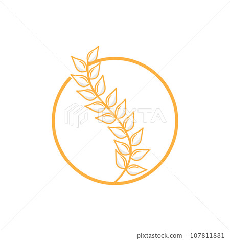 Rice Logo, Farm Wheat Logo Design, Vector Wheat Rice Icon Template Retro Vintage Illustration 107811881