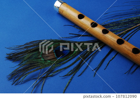 Peacock feather 107812090