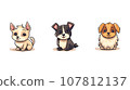 cute dogs with different types of dogs cute dogs with different types of dogs 107812137