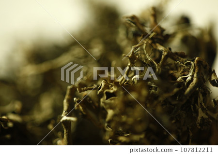 Dryed Ayurvedic leaves texture closeup Dryed Ayurvedic leaves texture closeup 107812211