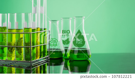 Algae fuel biofuel industry lab researching for bio-aviation fuel (BAF) to be a sustainable aviation fuel (SAF) 107812221