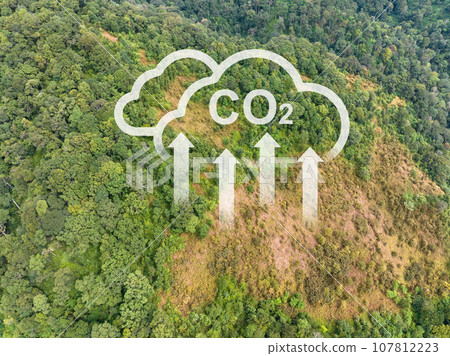 The biggest cause of forest loss is agricultural deforestation ,environmental damage in Southeast Asia , global warming and environment. 107812223