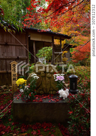 Najin-a秋葉 107812312