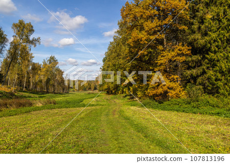 sunny autumnal meadow and yellow forest on its edges 107813196