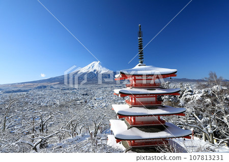 Winter: Stunning view of snow-covered - Stock Photo [107813231