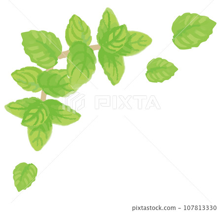 用於香氣的草藥的插圖一角。你可以做一個框架。向量素材 107813330
