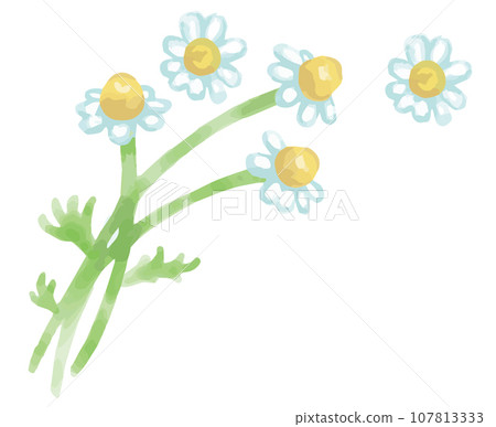 An illustration corner of herbs used for aroma. You can make a frame. vector material 107813333