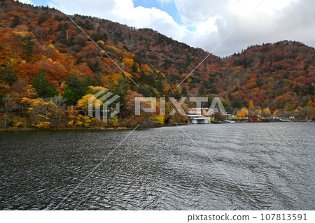 Autumn leaves on the shore of Lake Chuzenji, Oku-Nikko 107813591