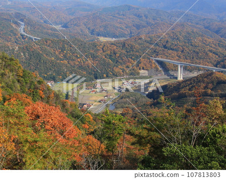 Hiroshima Airport 107813803