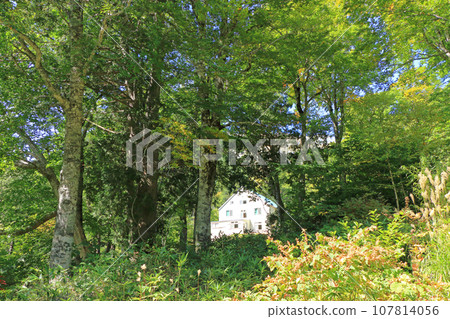 黑部黑四旅館 黑部黑四旅館 107814056