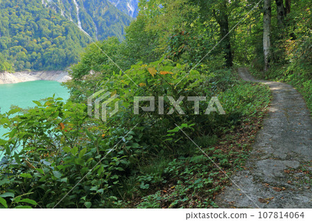 Kurobe lakeside promenade 107814064