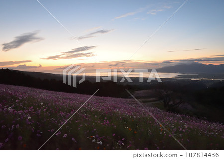 Shirakimine Plateau in the early morning Shirakimine Plateau in the early morning 107814436