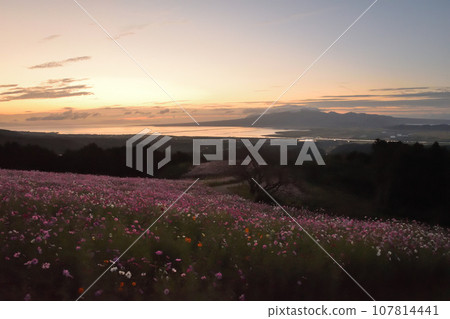 清晨的白紀峰高原 清晨的白紀峰高原 107814441