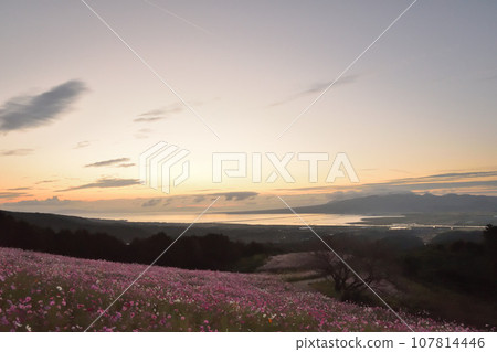 Shirakimine Plateau in the early morning Shirakimine Plateau in the early morning 107814446