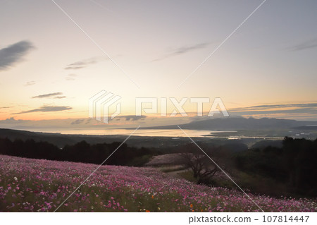Shirakimine Plateau in the early morning Shirakimine Plateau in the early morning 107814447