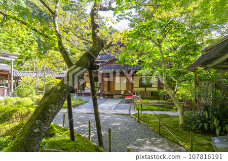 Jakkoin Shoin (Ohara, Sakyo Ward, Kyoto City, Kyoto Prefecture) 107816191