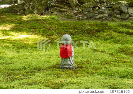 站在寂光院苔蘚花園裡的地藏菩薩（京都府京都市左京區大原） 107816195