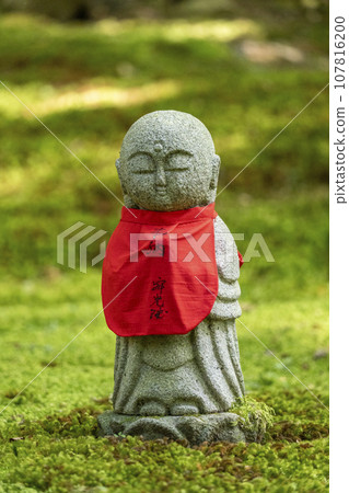站在寂光院苔蘚花園裡的地藏菩薩(京都府京都市左京區大原) 站在寂光院苔蘚花園裡的地藏菩薩(京都府京都市左京區大原) 107816200