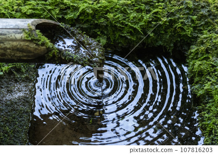 Water falling from the moss garden of Jakkoin Temple hits the surface of the bamboo basket. Water falling from the moss garden of Jakkoin Temple hits the surface of the bamboo basket. 107816203