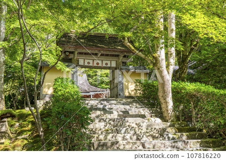Jakkoin Temple Sanmon Stone Step Approach (Ohara, Sakyo Ward, Kyoto City, Kyoto Prefecture) Jakkoin Temple Sanmon Stone Step Approach (Ohara, Sakyo Ward, Kyoto City, Kyoto Prefecture) 107816220