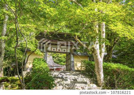 寂光院山門石階參道(京都府京都市左京區大原) 寂光院山門石階參道(京都府京都市左京區大原) 107816221