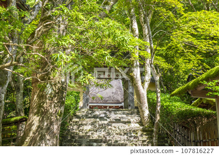 寂光院山門石階參道（京都府京都市左京區大原） 107816227