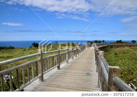 Shiretoko Five Lakes, Lake Ichiko, Wooden Path (Shari Town, Hokkaido) 107817258