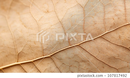 Close up texture leaf structure macro photography, abstract texture, Generative AI illustration 107817492