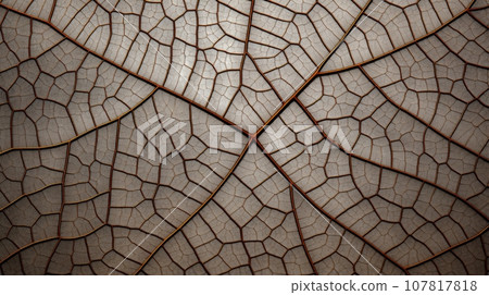 Close up texture leaf structure macro photography, abstract texture, Generative AI illustration 107817818