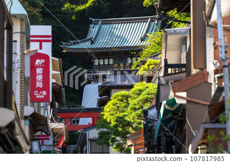 [Kanagawa Prefecture] Enoshima Benzaiten Nakamise Street 107817985