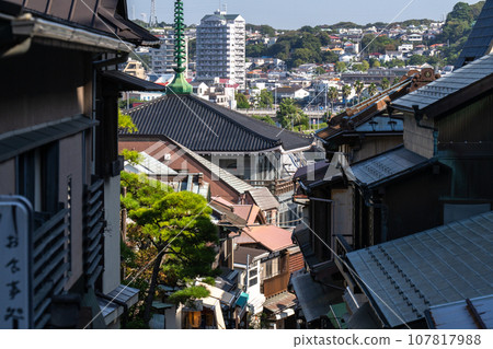 [Kanagawa Prefecture] Enoshima Benzaiten Nakamise Street 107817988
