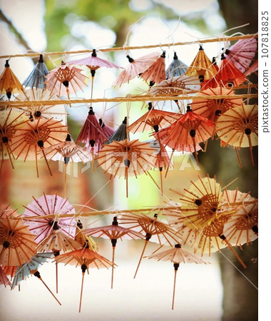 wish umbrella wish umbrella 107818825