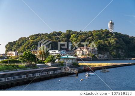 [Kanagawa Prefecture] Early morning scenery of Enoshima 107819133