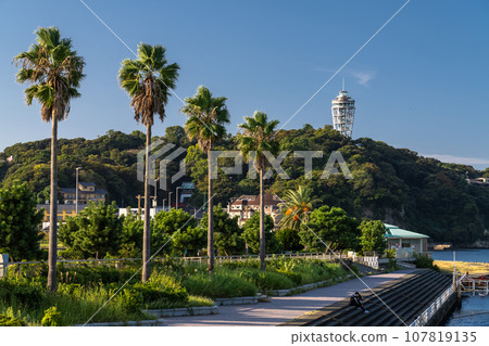 [Kanagawa Prefecture] Early morning scenery of Enoshima 107819135