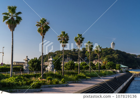 [Kanagawa Prefecture] Early morning scenery of Enoshima 107819136